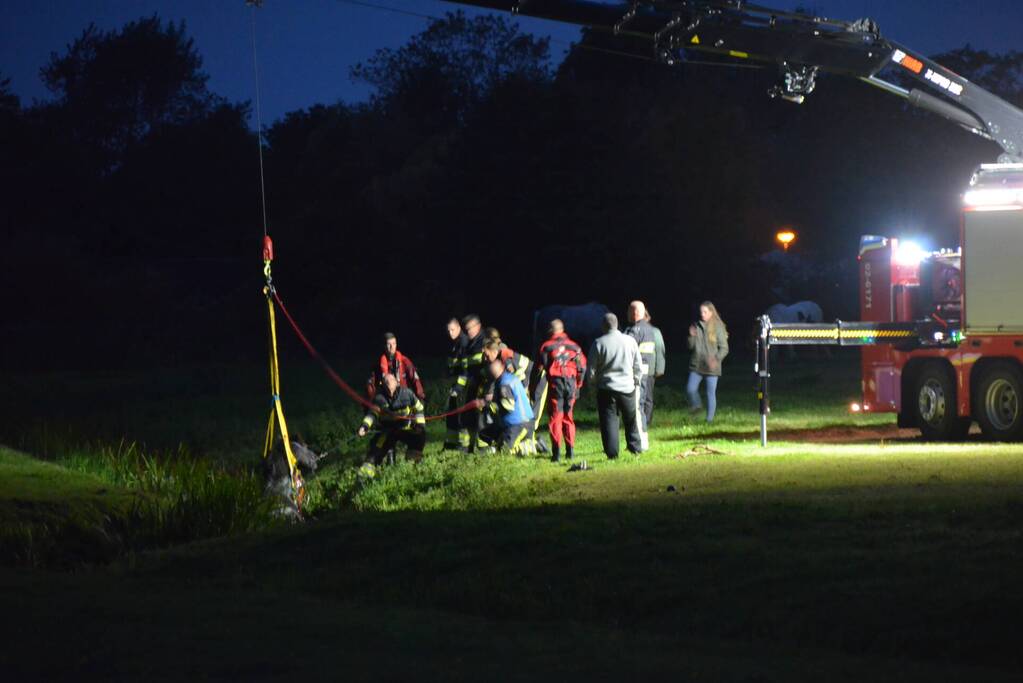Brandweer takelt paard uit sloot