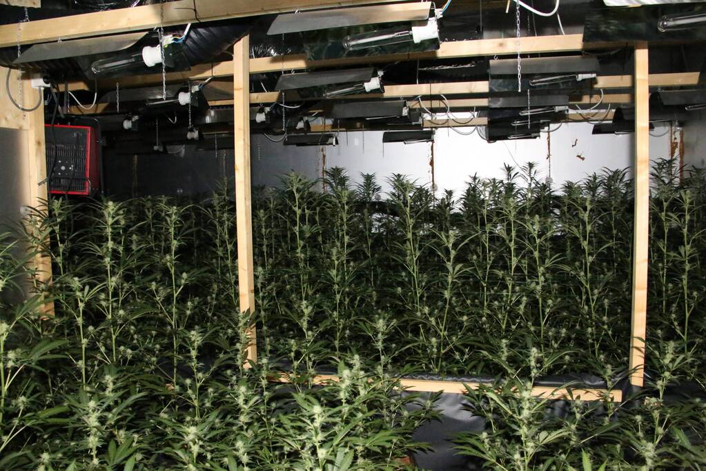 Bewoner aangehouden na aantreffen hennepkwekerij