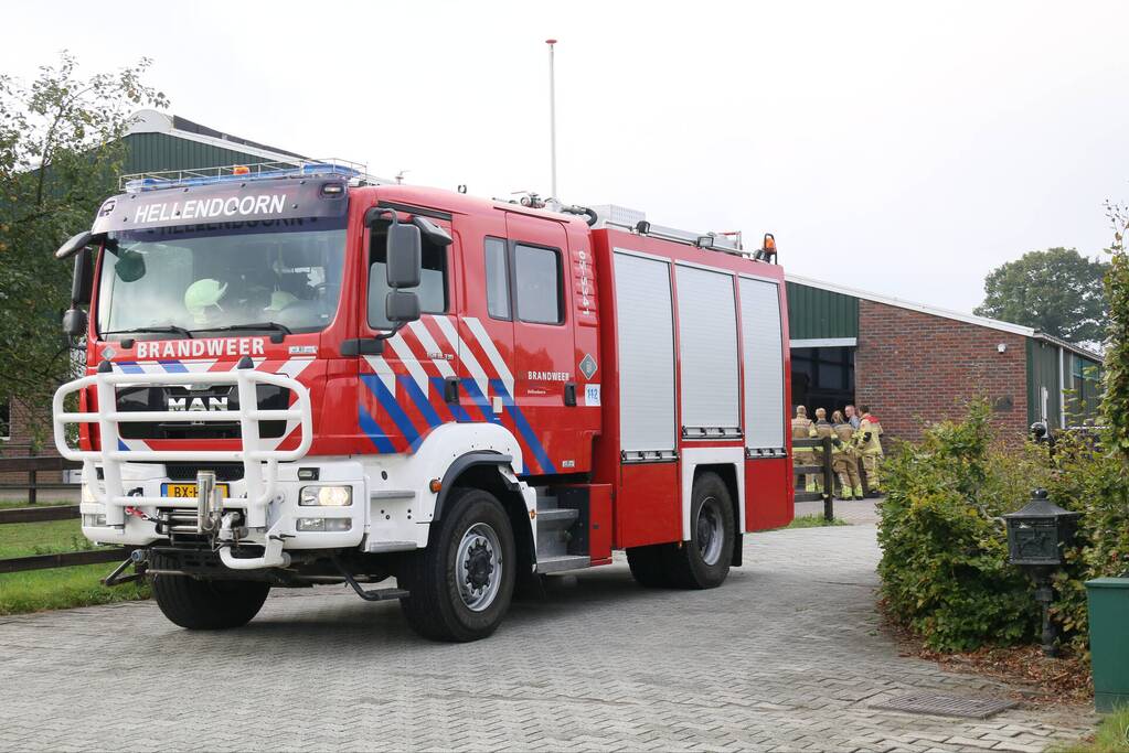 Brandweer bevrijdt paard uit benarde positie