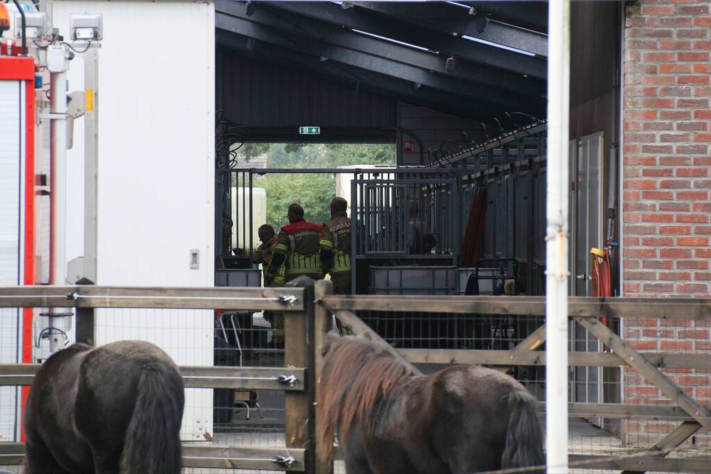 Brandweer bevrijdt paard uit benarde positie