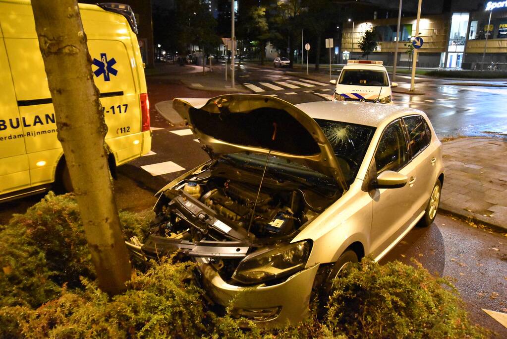 Automobilist ramt boom in middenberm