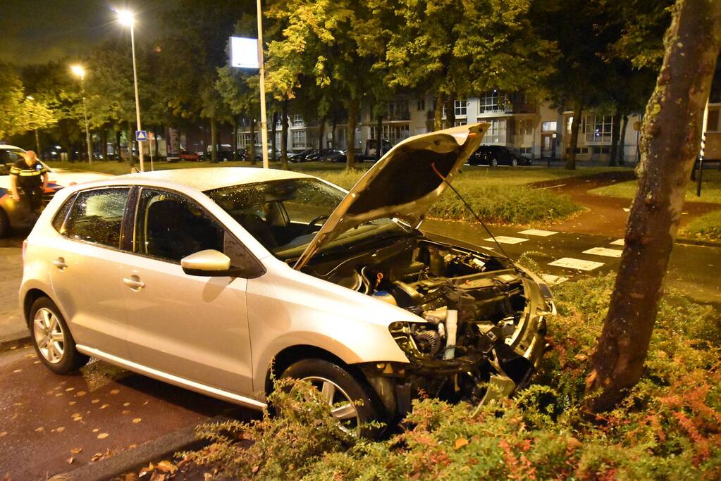 Automobilist ramt boom in middenberm