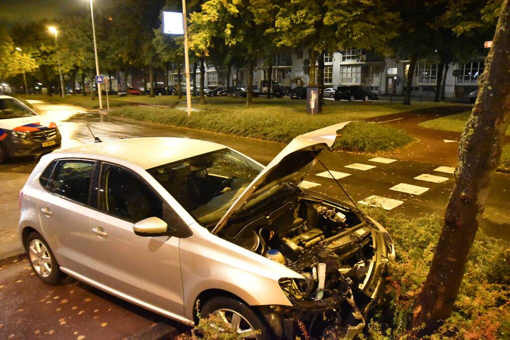 Automobilist ramt boom in middenberm