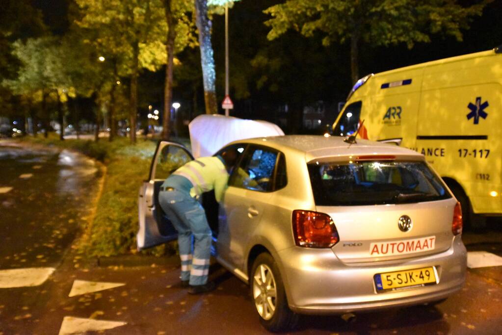 Automobilist ramt boom in middenberm