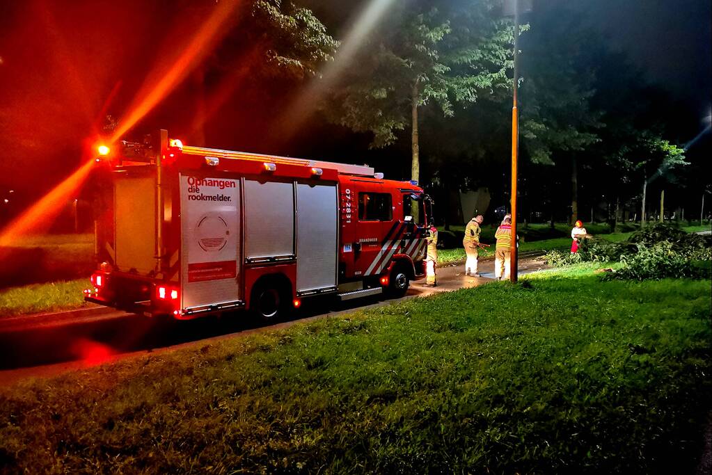 Gevaarlijk hangende tak uit boom gehaald