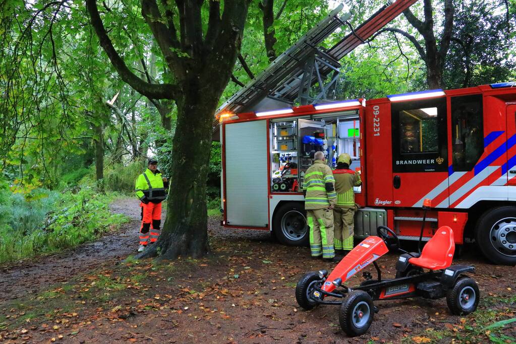 Enorme tak in bosgebied afgebroken boven voetpad