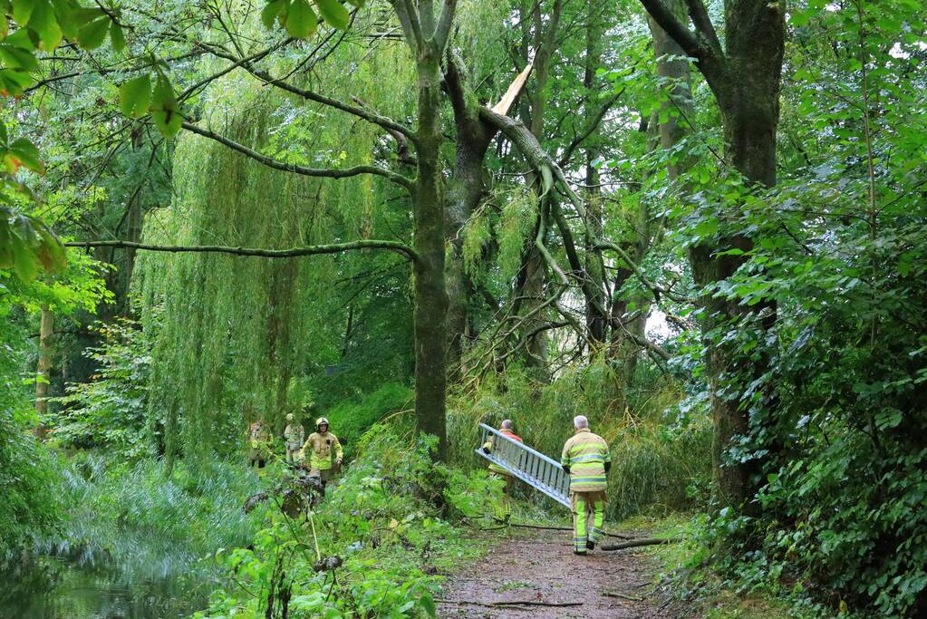 Enorme tak in bosgebied afgebroken boven voetpad