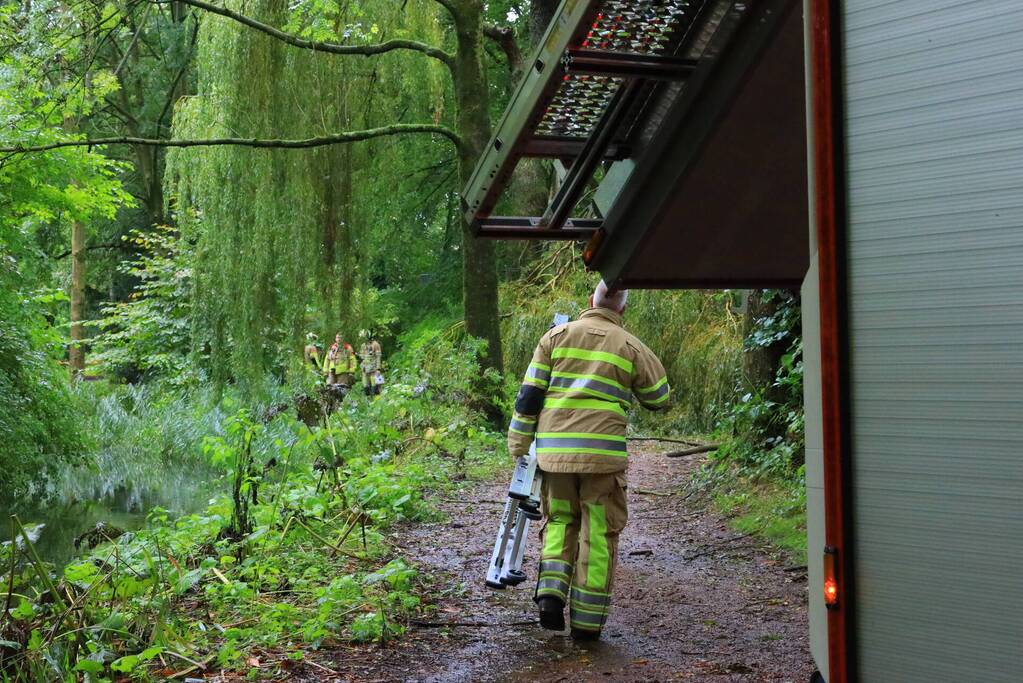 Enorme tak in bosgebied afgebroken boven voetpad