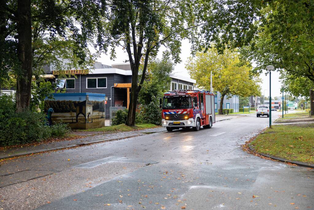 Enorme tak in bosgebied afgebroken boven voetpad