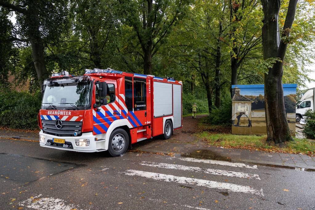 Enorme tak in bosgebied afgebroken boven voetpad