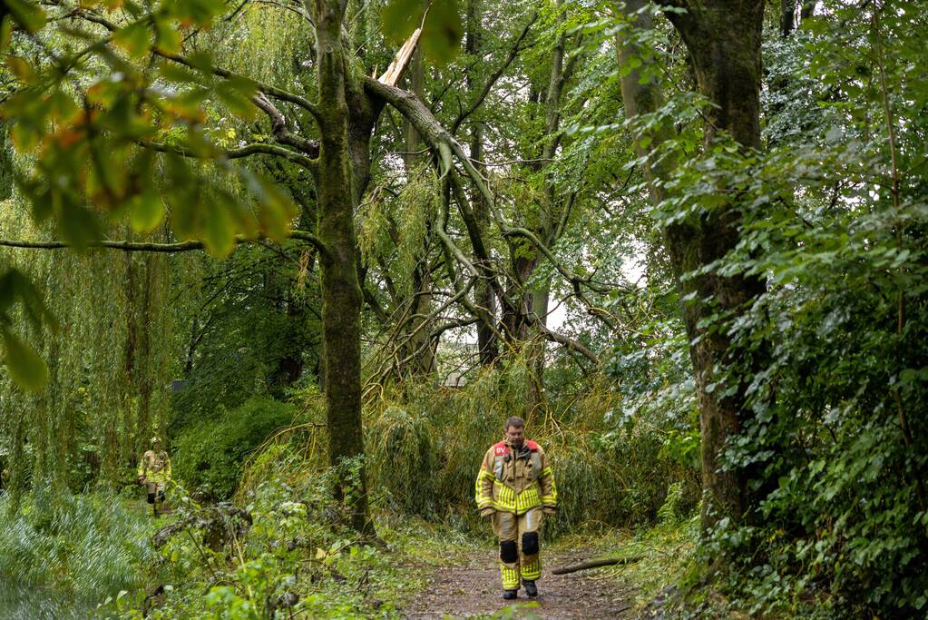 Enorme tak in bosgebied afgebroken boven voetpad