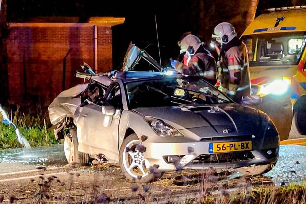 Automobilist gewond bij botsing tegen boom