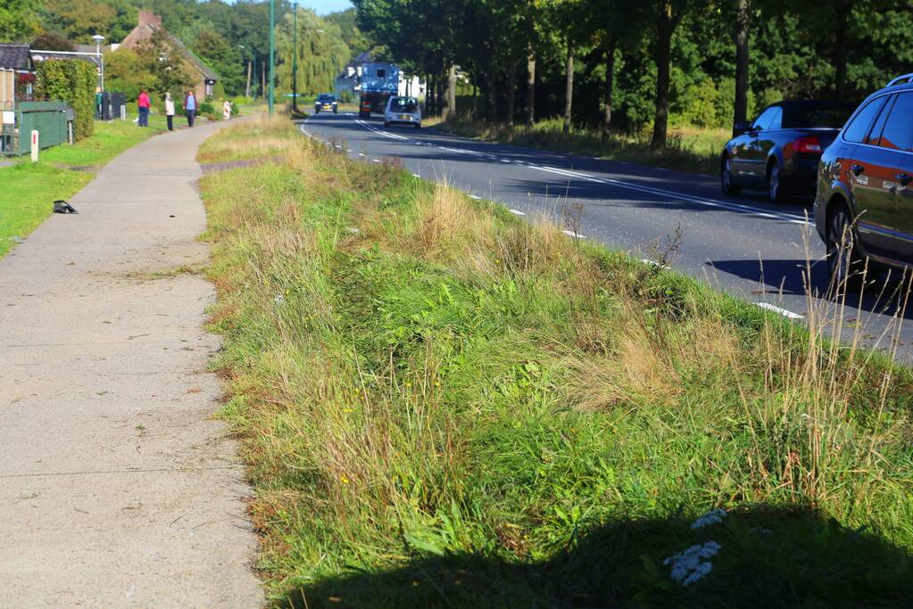 Bestuurder bestelbus rijdt lantaarnpaal uit de grond