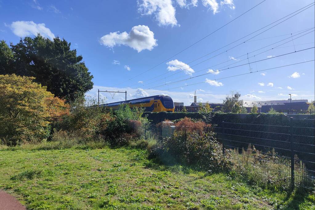 Treinverkeer ondervindt hinder; persoon door politie meegenomen