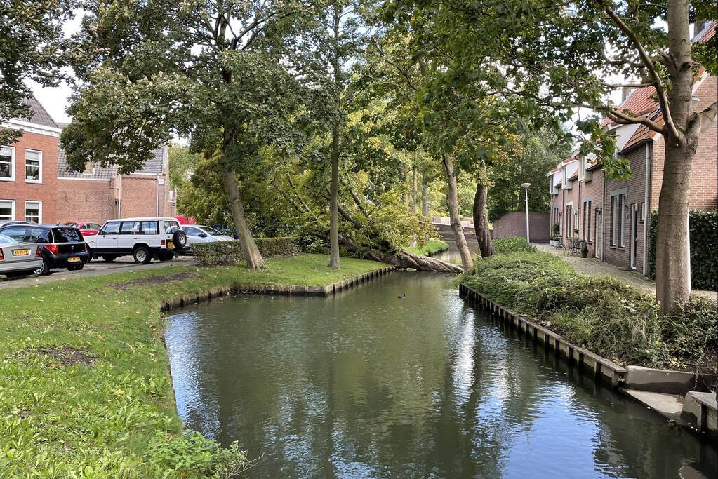 Boom valt op geparkeerde auto's