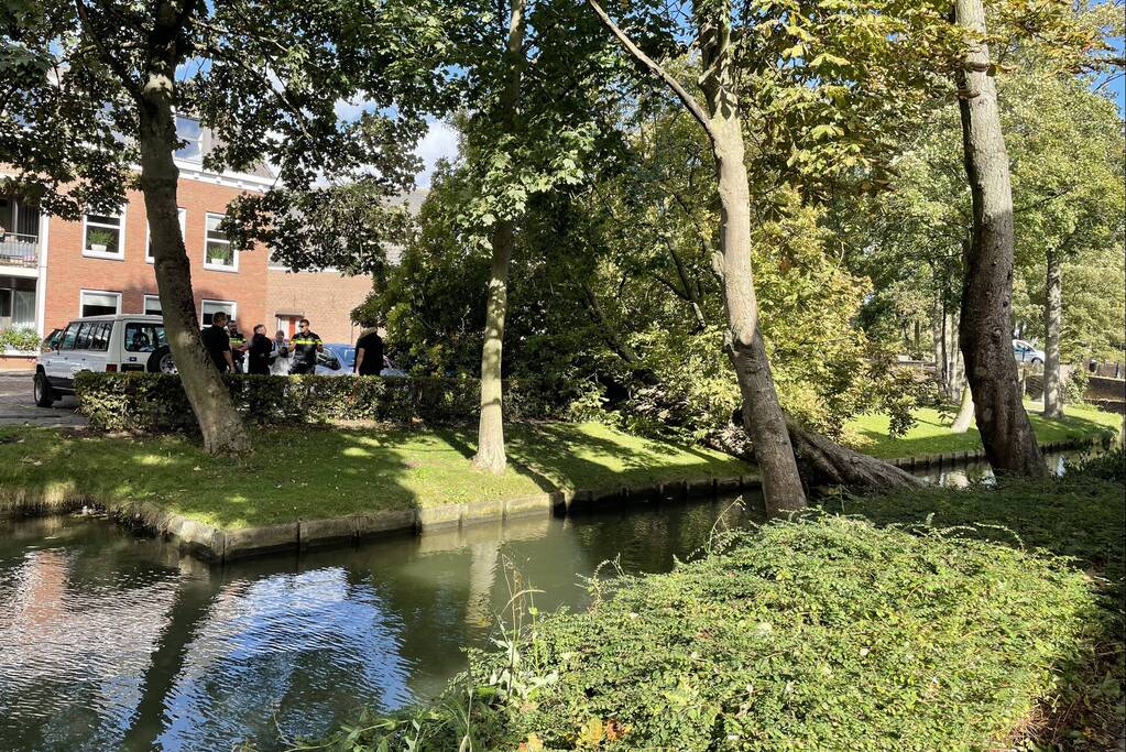 Boom valt op geparkeerde auto's