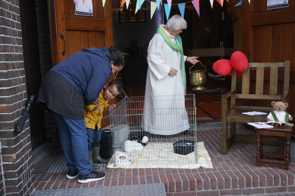 Huisdieren krijgen zegening op Dierendag