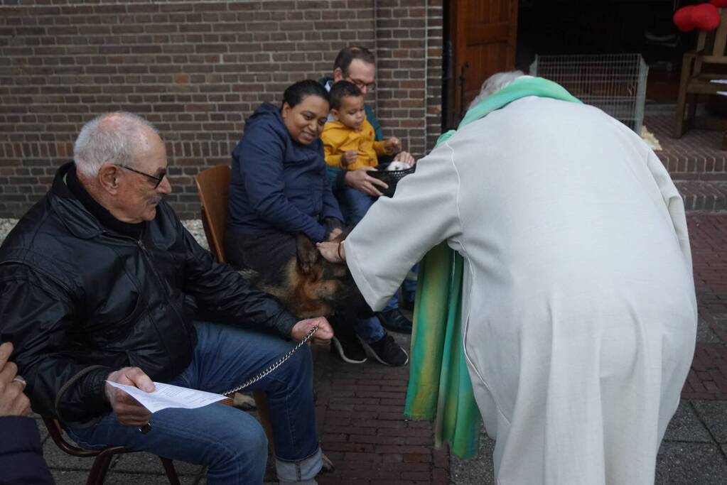 Huisdieren krijgen zegening op Dierendag
