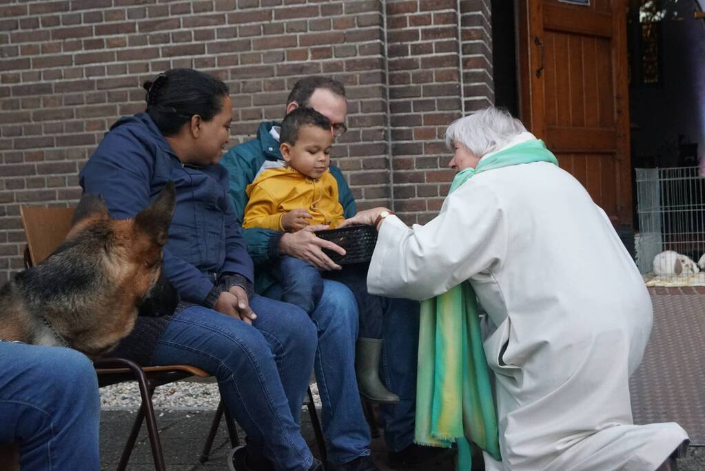 Huisdieren krijgen zegening op Dierendag