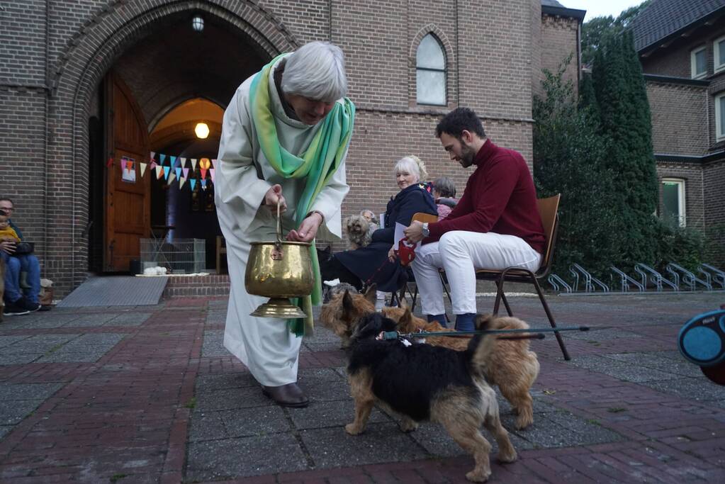 Huisdieren krijgen zegening op Dierendag
