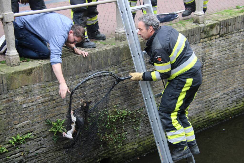 Brandweer bevrijdt kat uit gracht
