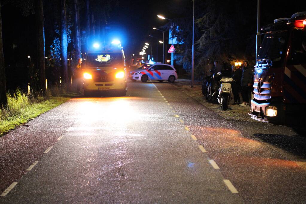 Personenauto botst tegen boom en vliegt in brand