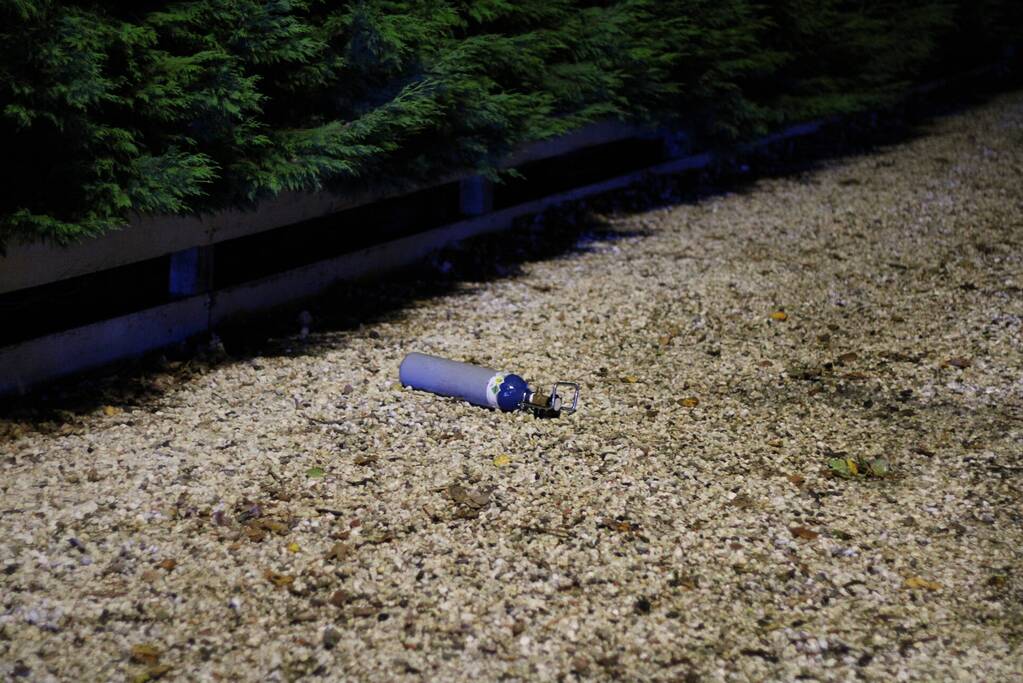 Personenauto botst tegen boom en vliegt in brand