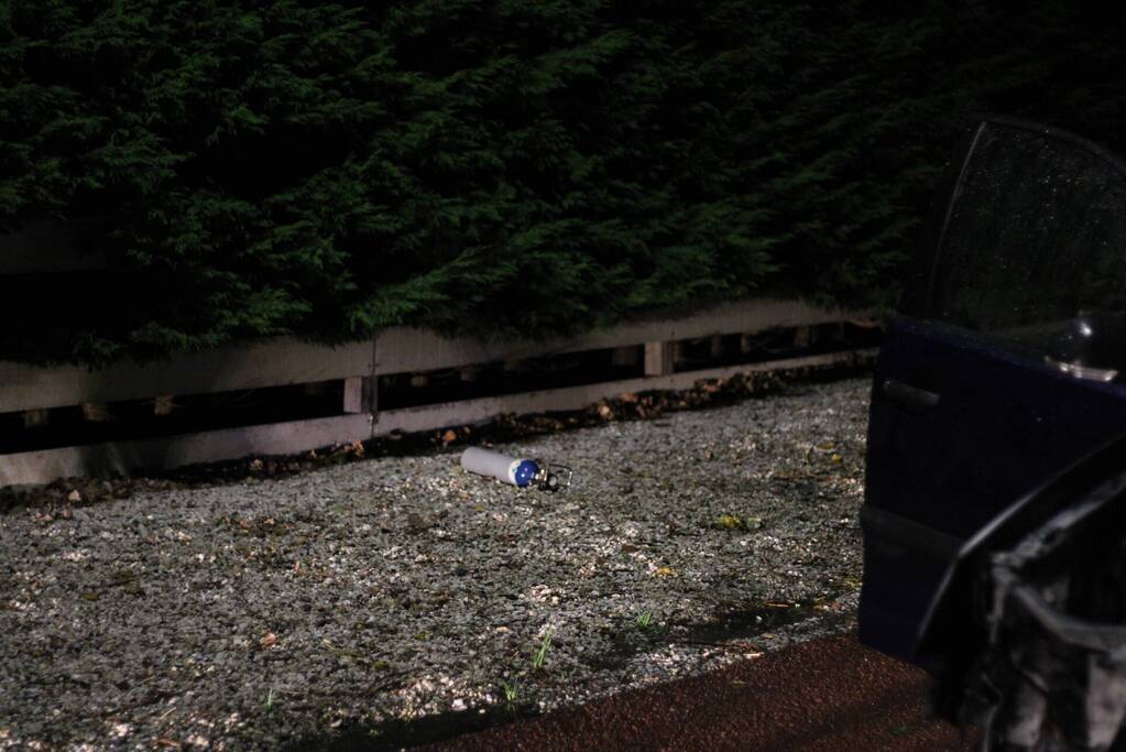 Personenauto botst tegen boom en vliegt in brand