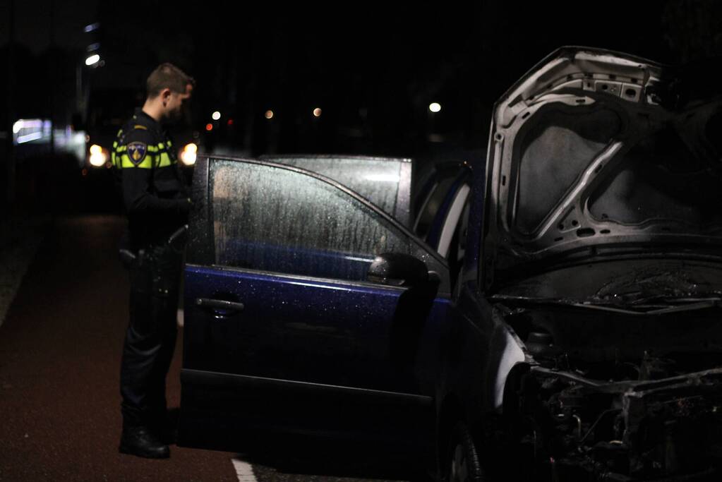 Personenauto botst tegen boom en vliegt in brand