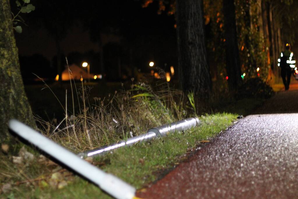 Personenauto botst tegen boom en vliegt in brand