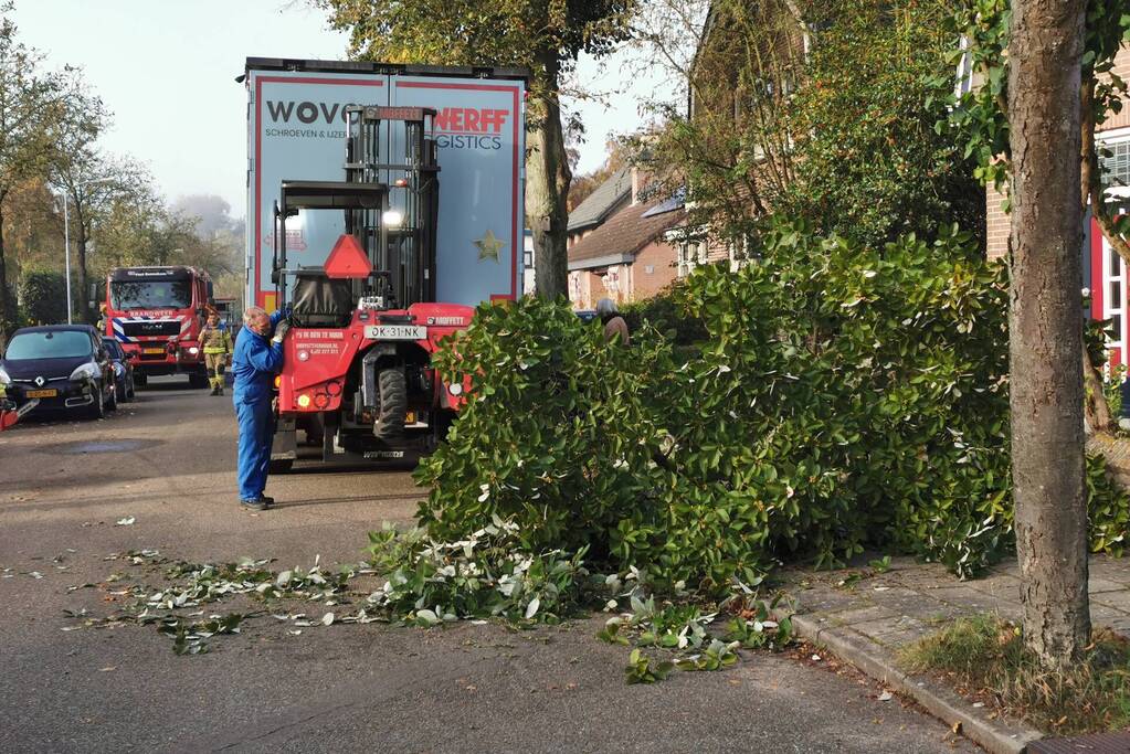 Vrachtwagen raakt boom