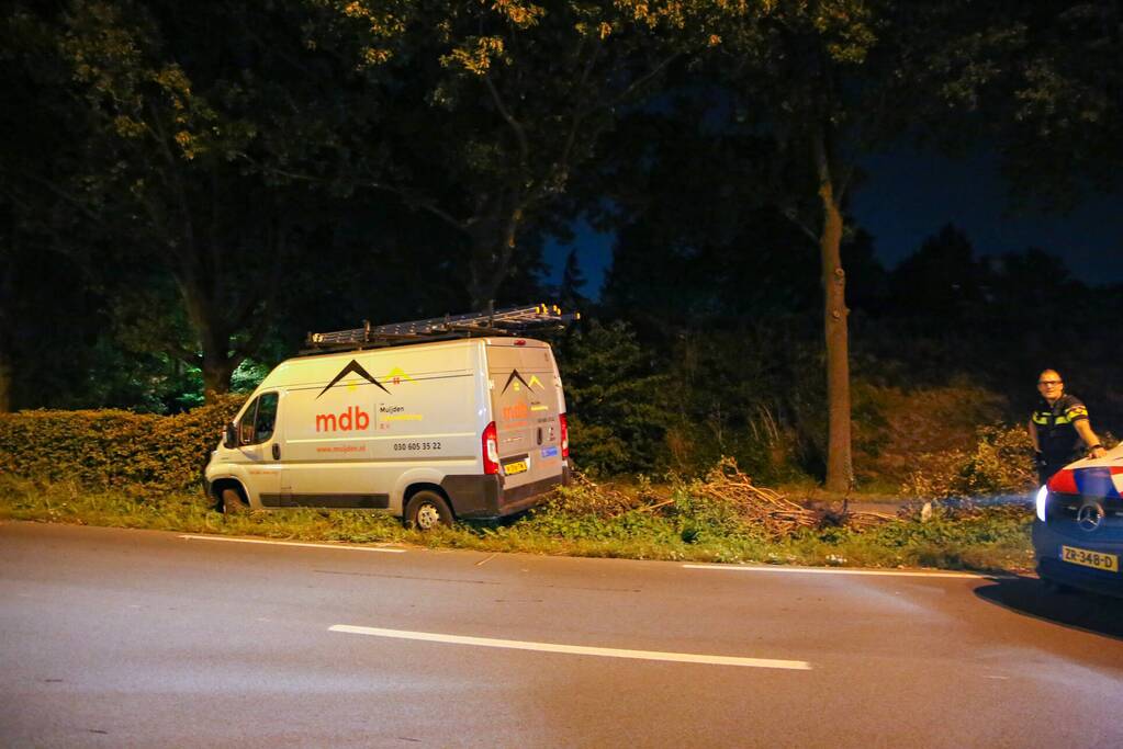 Bestelbus rijdt in struiken