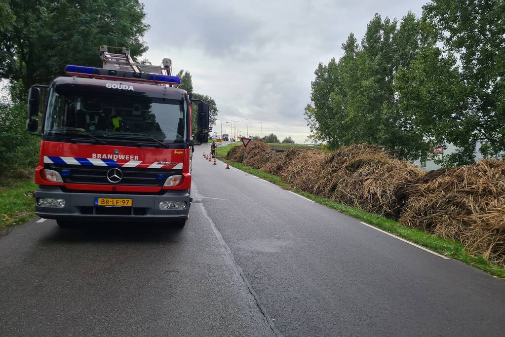 Broei in bergen riet