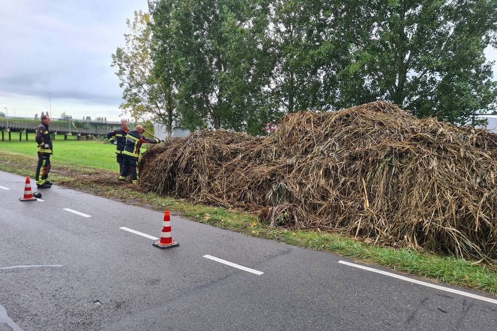 Broei in bergen riet