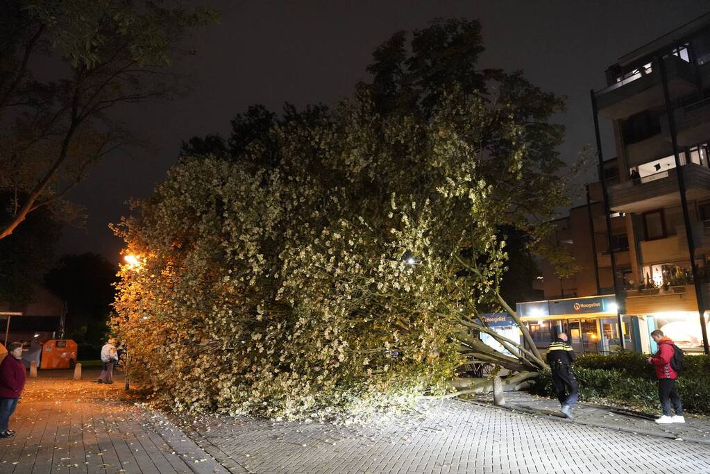 Grote boom valt over weg