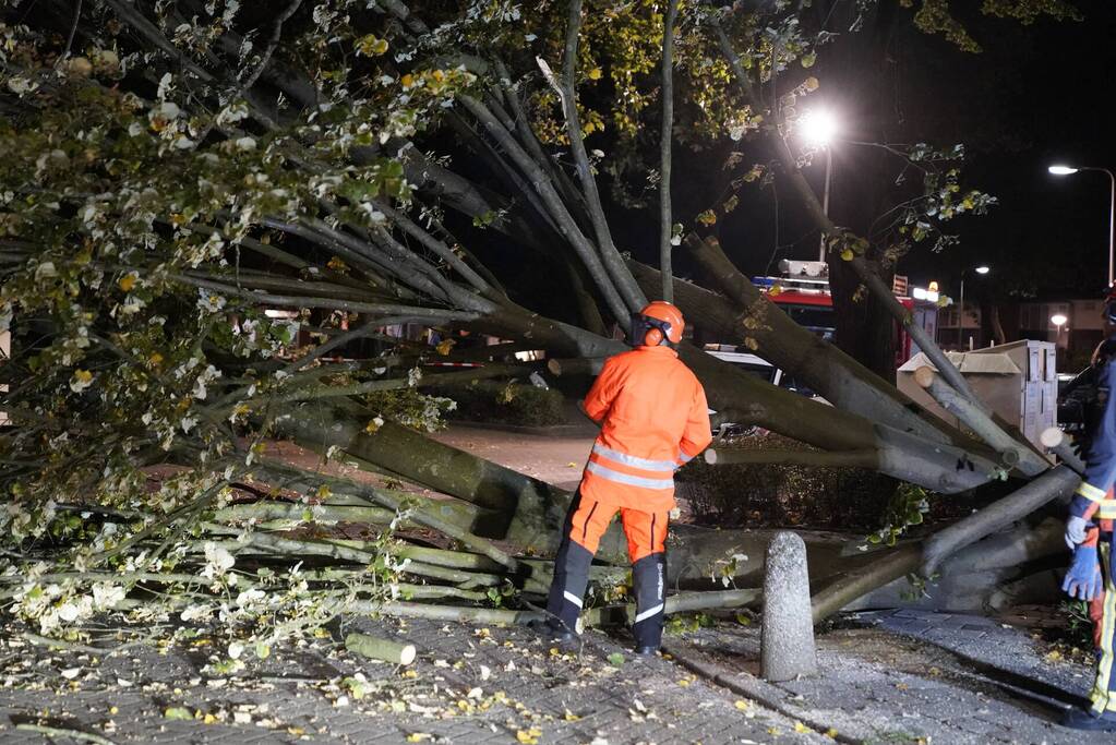 Grote boom valt over weg