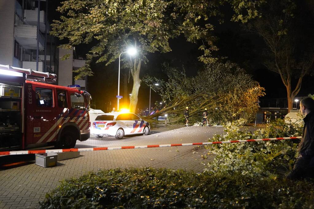 Grote boom valt over weg