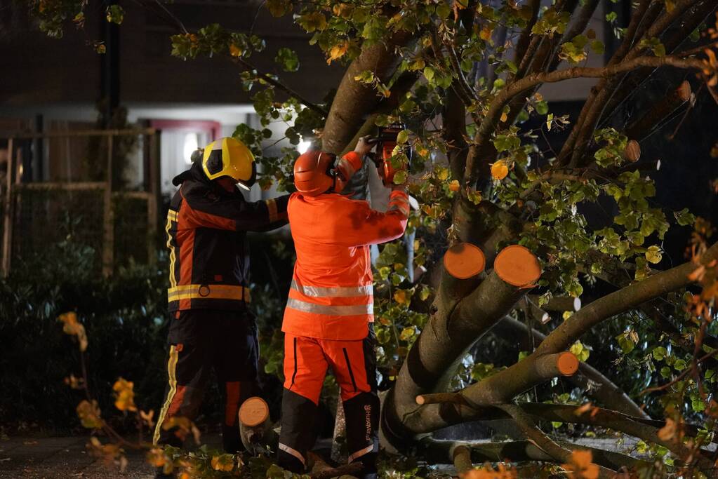 Grote boom valt over weg