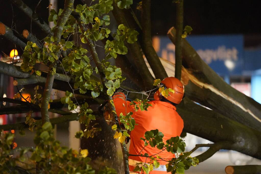 Grote boom valt over weg