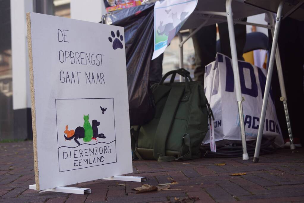 Leerlingen halen geld op voor Stichting Dierenzorg Eemland
