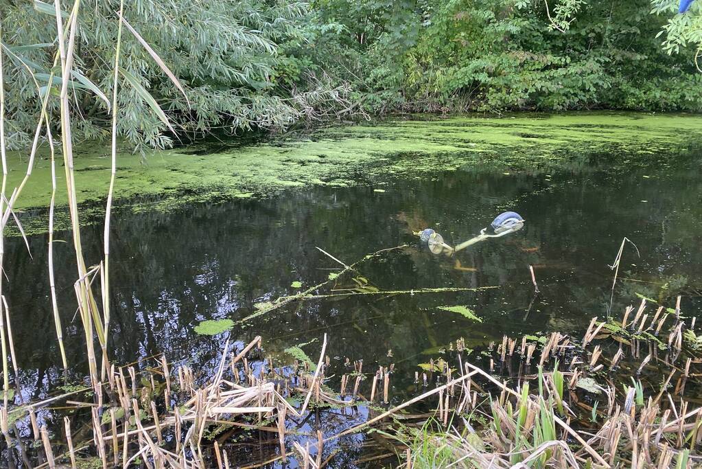 Brandweer verricht zoekslag door kinderfiets in sloot