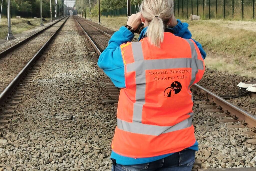 Treinverkeer vertraagd door hond op spoor