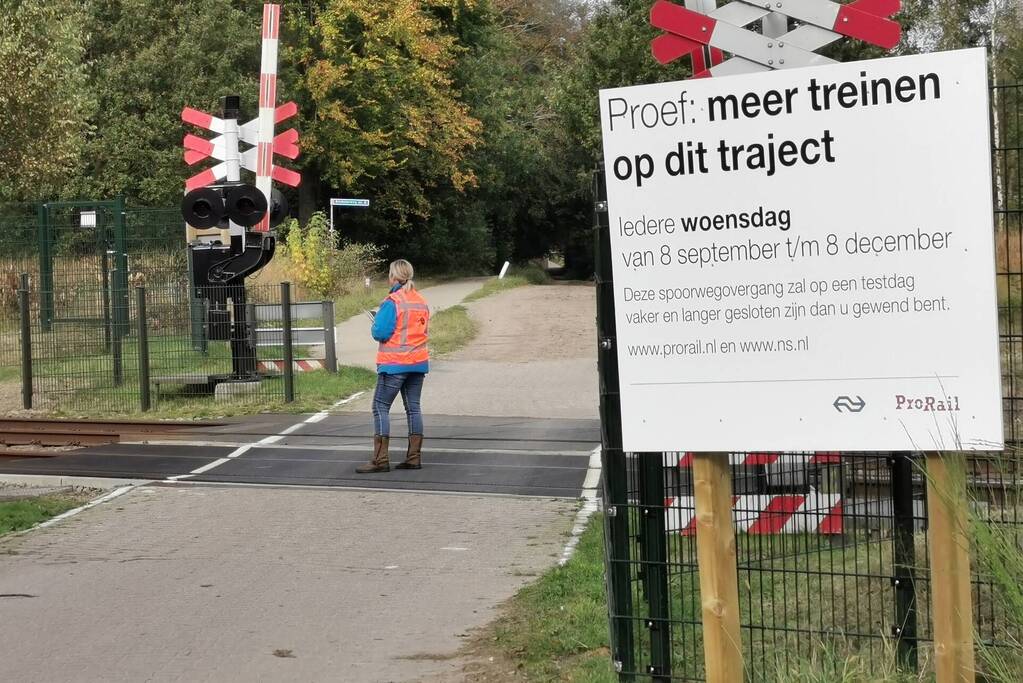 Treinverkeer vertraagd door hond op spoor