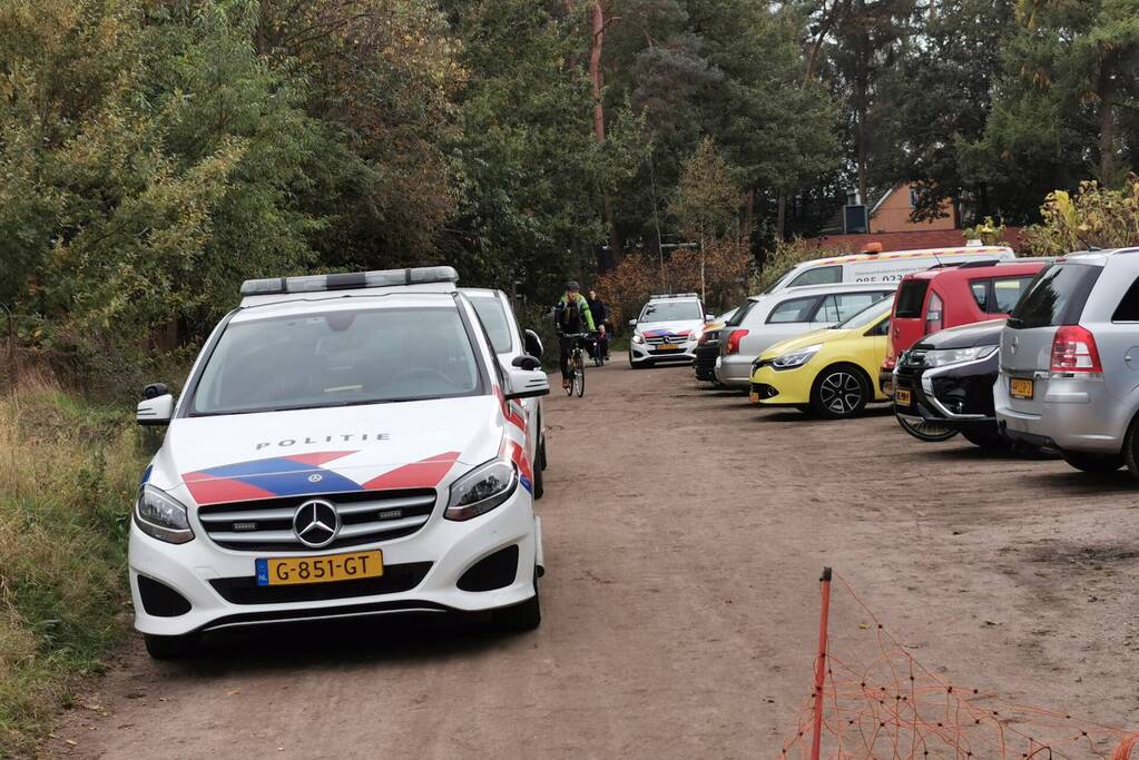 Treinverkeer vertraagd door hond op spoor