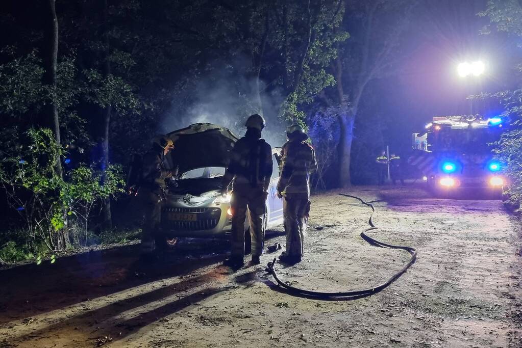 Auto verwoest door brand in bosgebied