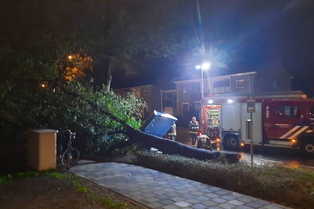 Bushalte verplettert door omgevallen boom