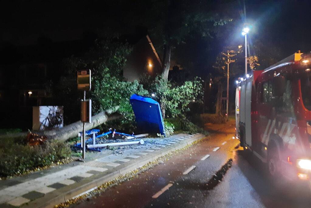 Bushalte verplettert door omgevallen boom