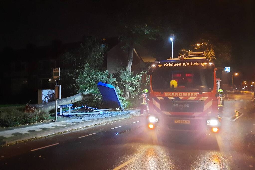 Bushalte verplettert door omgevallen boom