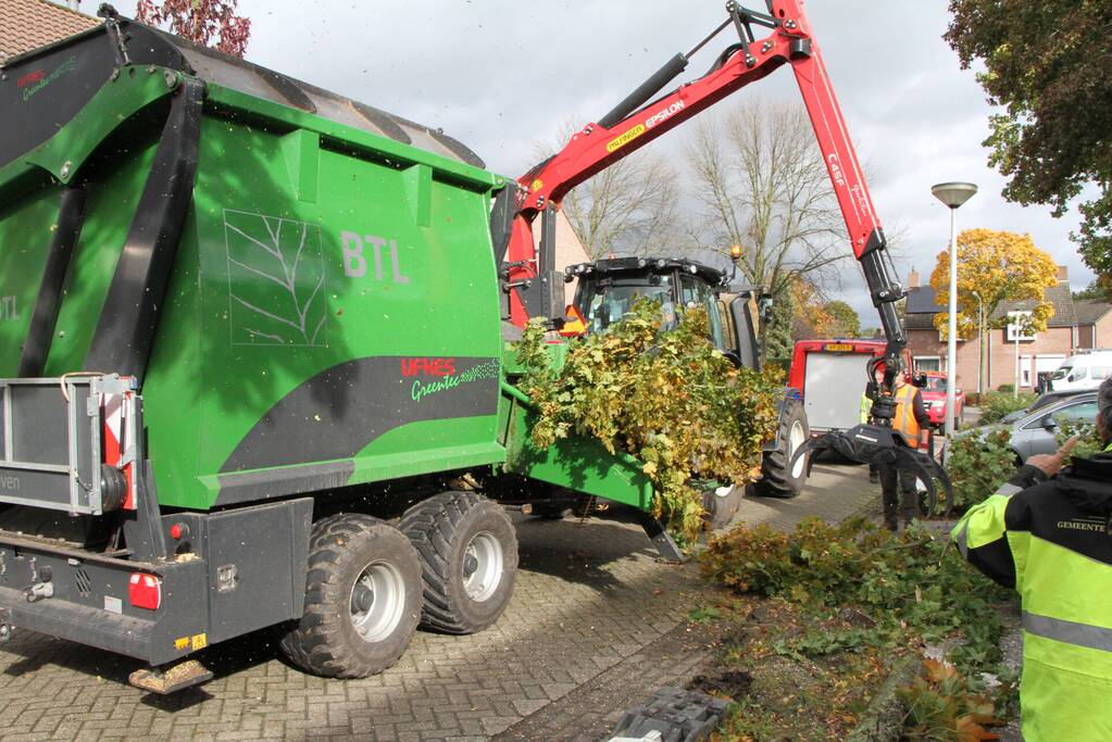 Boom uit grond gewaaid