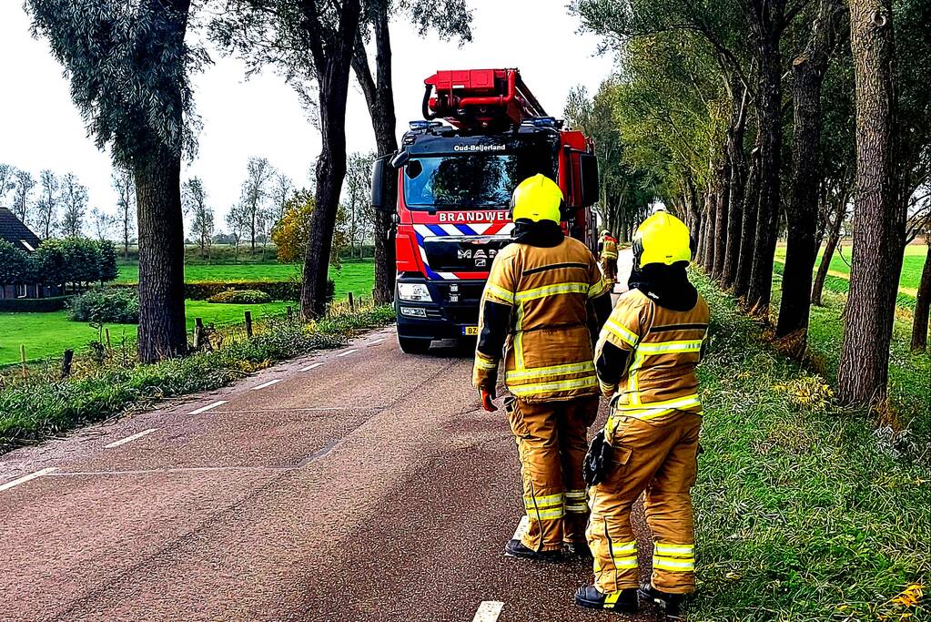 Brandweer verwijdert gevaarlijke hangende tak